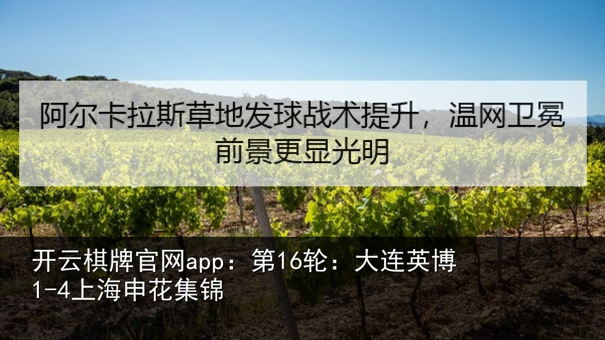 开云棋牌官网app：第16轮：大连英博1-4上海申花集锦